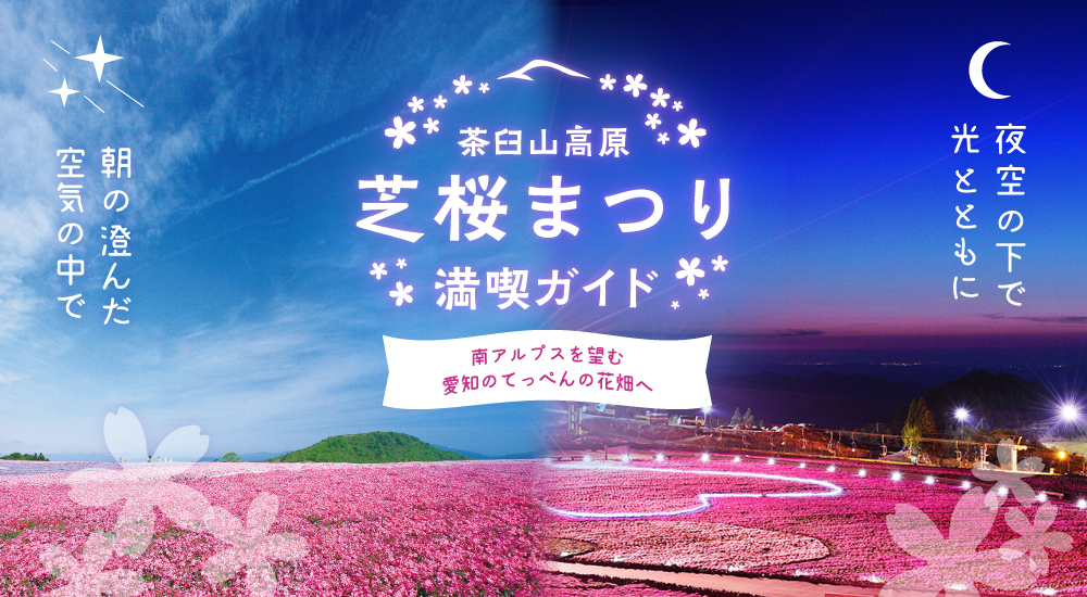 茶臼山高原 芝桜まつりを楽しもう♪