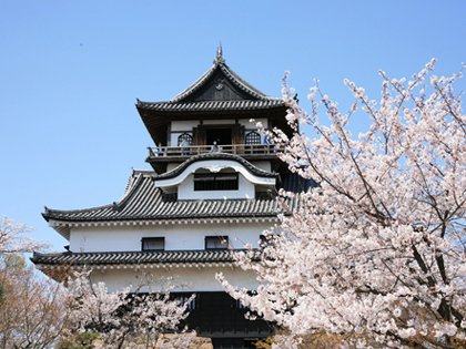 National Treasure Inuyama Castle