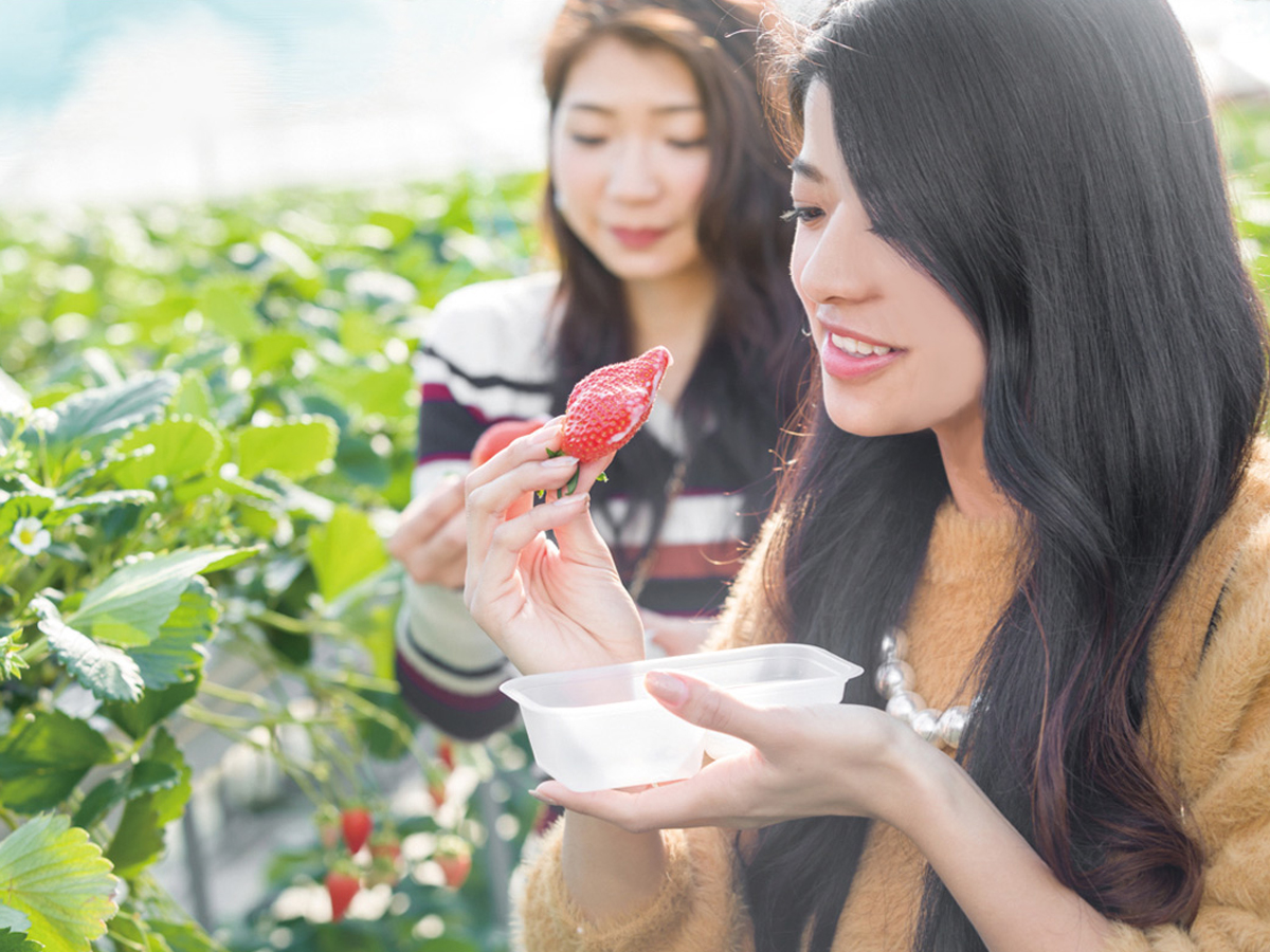 蒲郡オレンジパーク