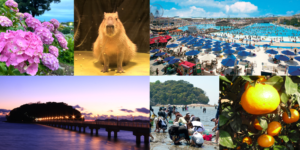 【蒲郡市】アクセスランキング