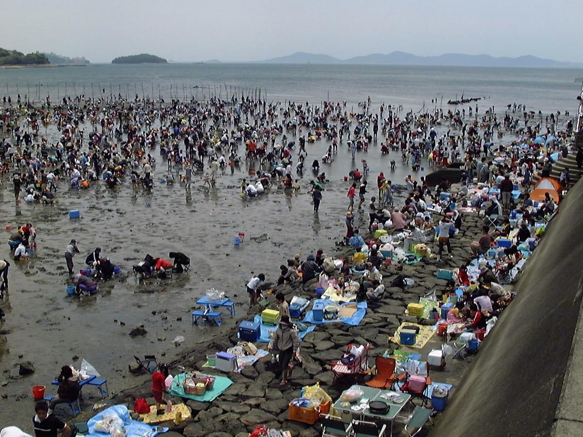 西はず鳥羽海岸　潮干狩り