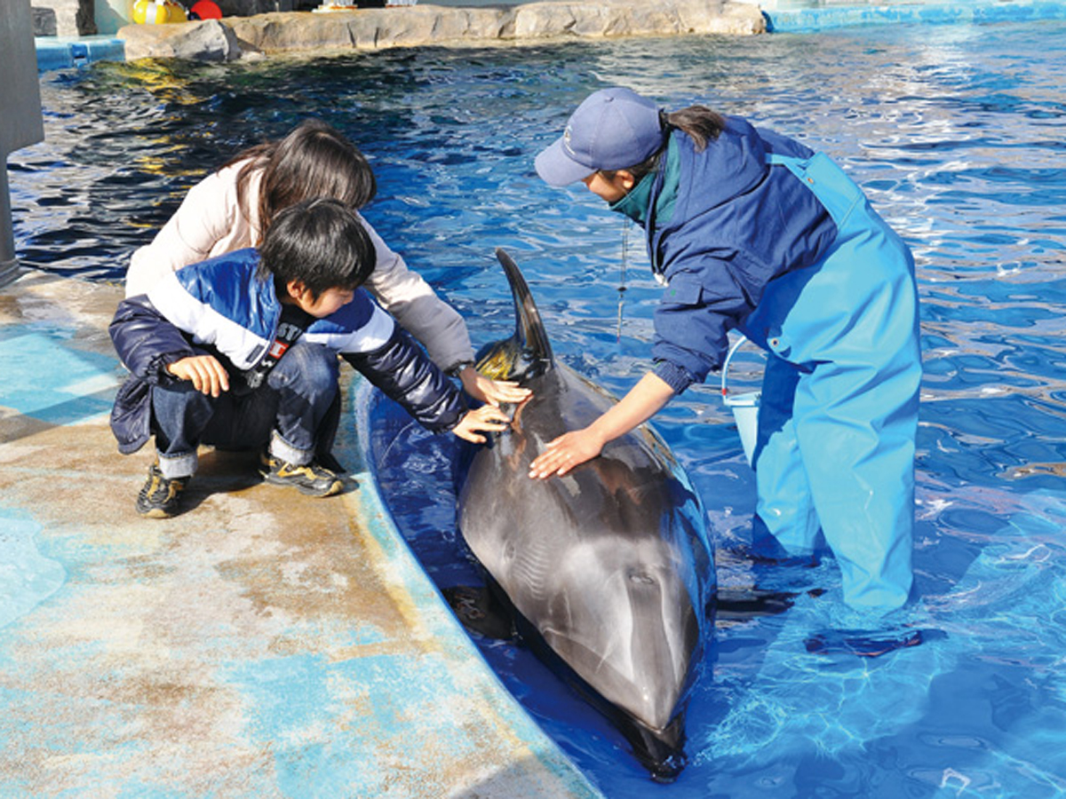 名古屋港水族館