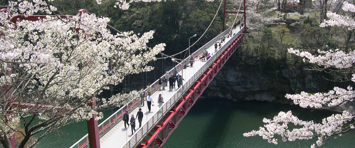 Off the Beaten Path: Okumikawa Area & Shinshiro Special Feature