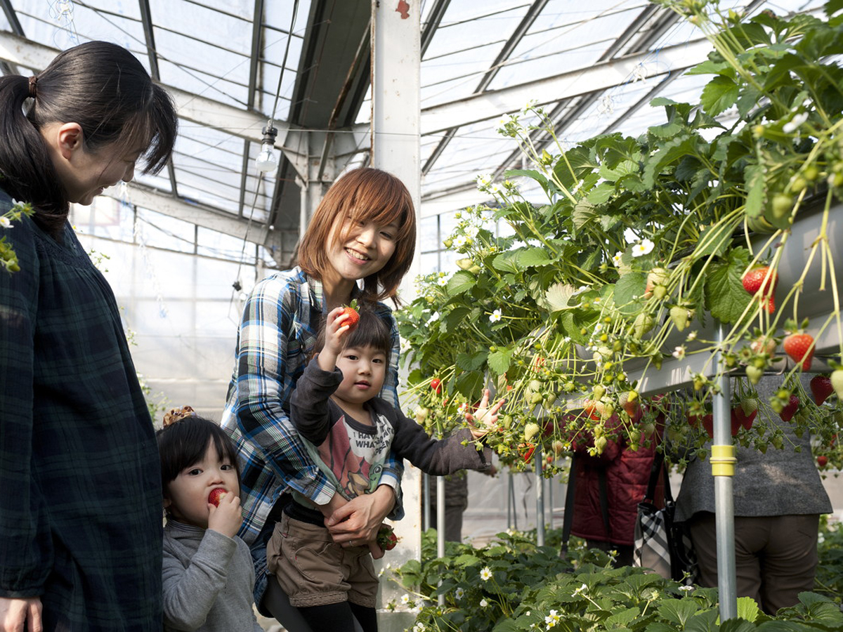 蒲郡オレンジパーク