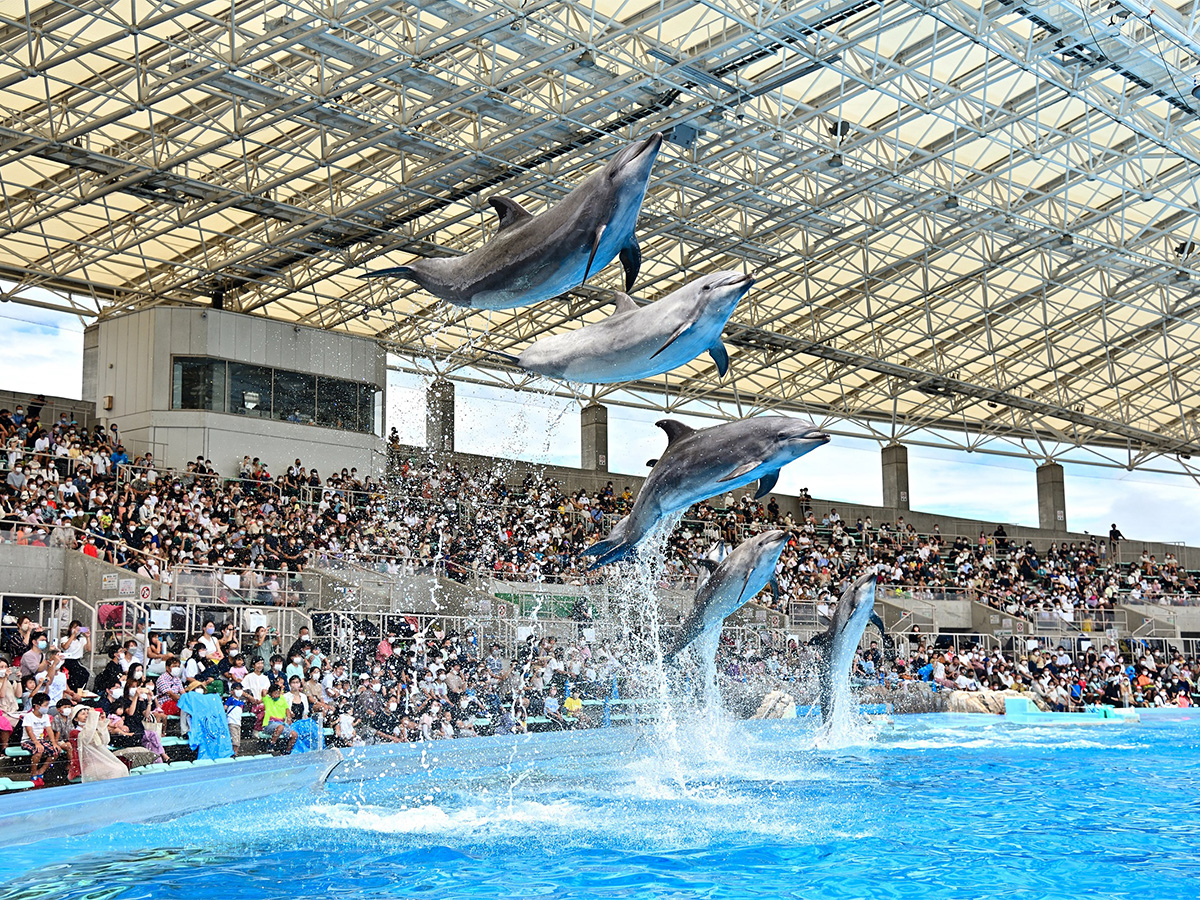 名古屋港水族館