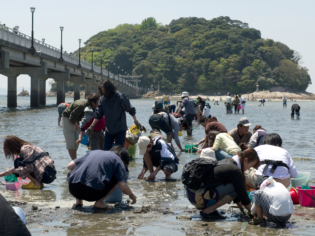 竹島海岸　潮干狩り
