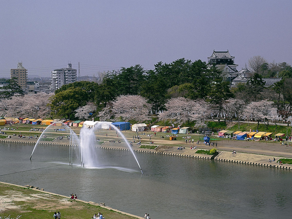 岡崎城下賞花泛舟