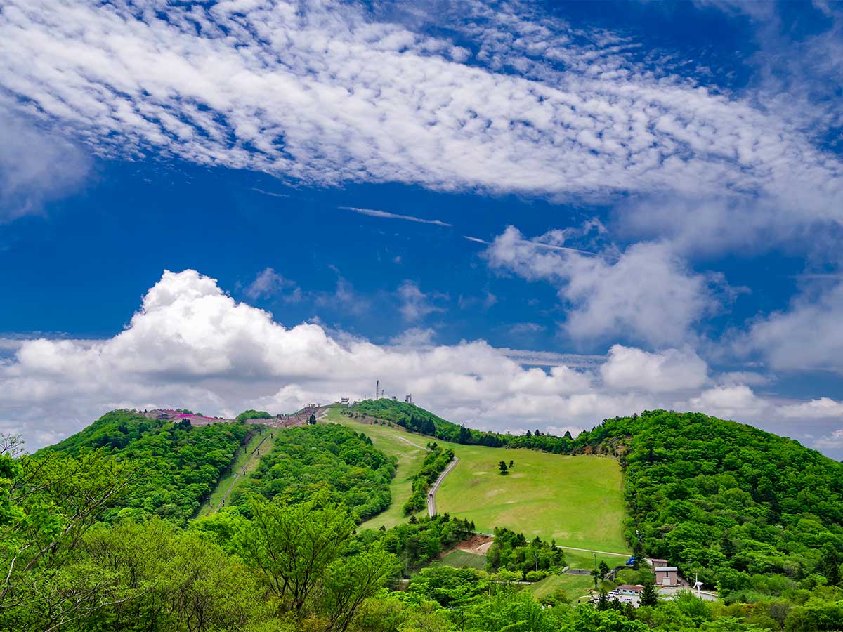 茶臼山高原
