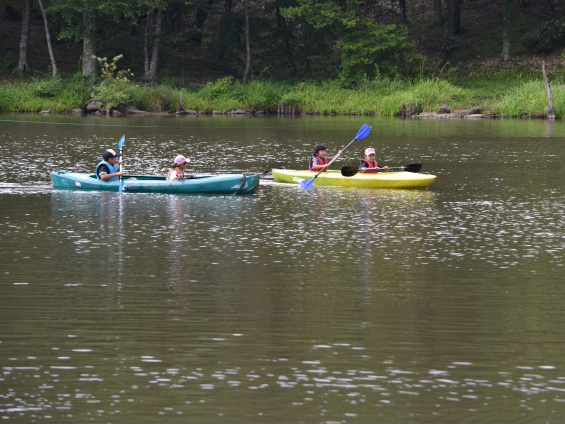 春の茶臼山高原（イベント）
