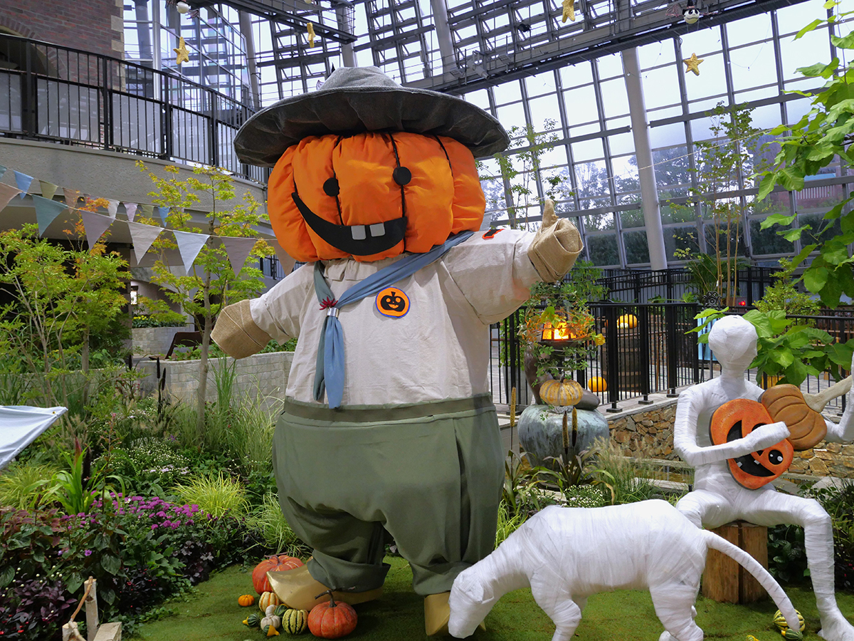 デンパーク　秋穫祭