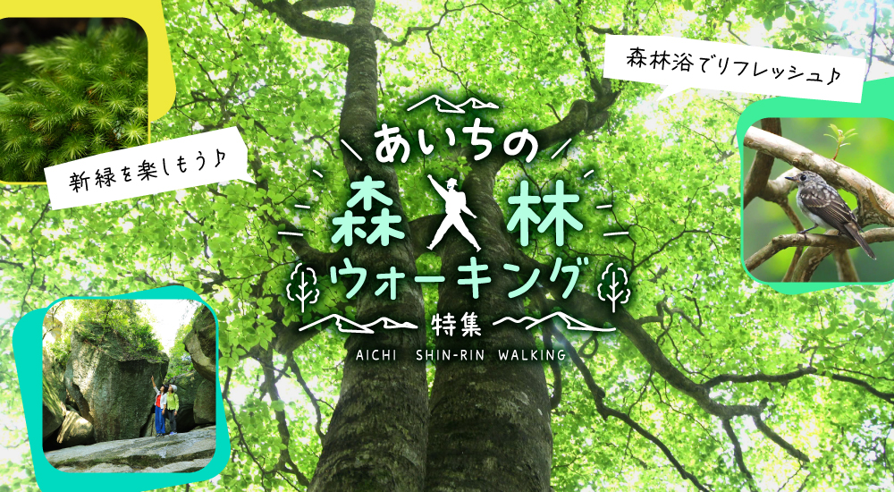 爽やかな風と森の香りにさそわれてリフレッシュ！