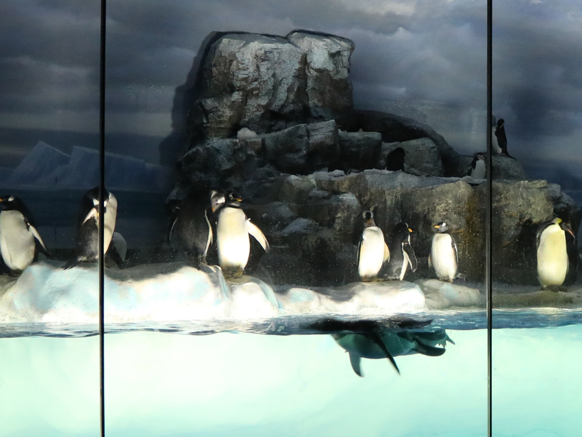 名古屋港水族館