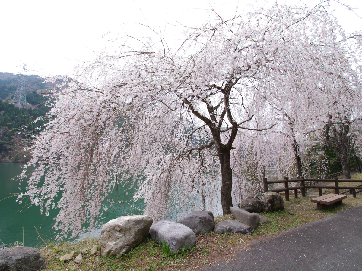 新豊根ダム（みどり湖）