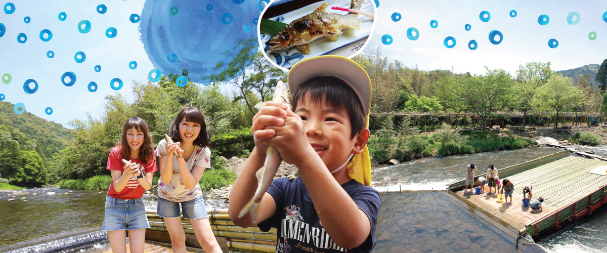 愛知的魚梁專題