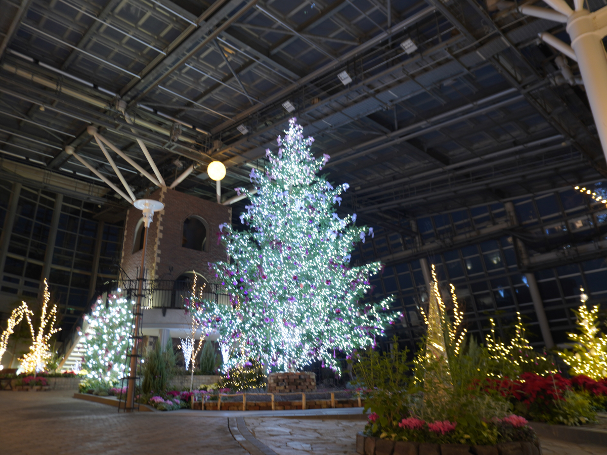 デンパーク ウィンターフェスティバル