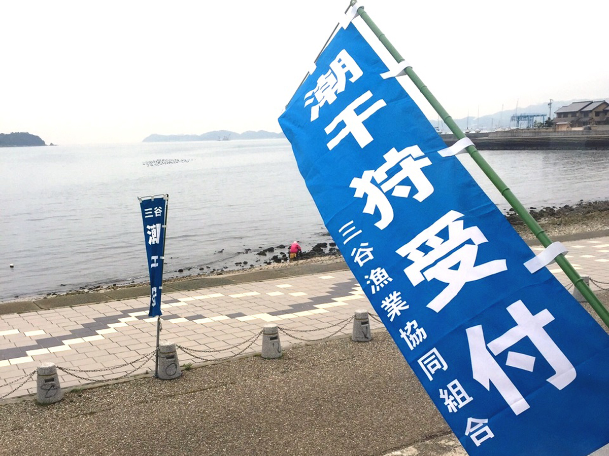 三谷温泉海岸　潮干狩り