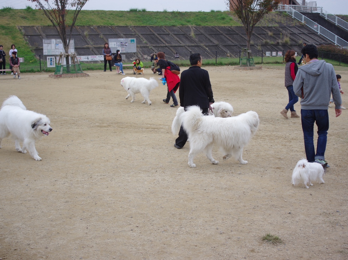 庄内緑地グリーンプラザ