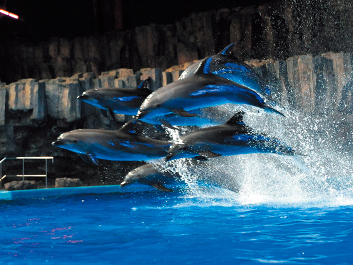 Port of Nagoya Public Aquarium