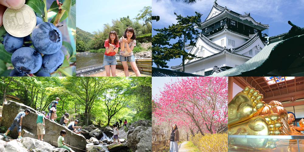 【岡崎市】アクセスランキング