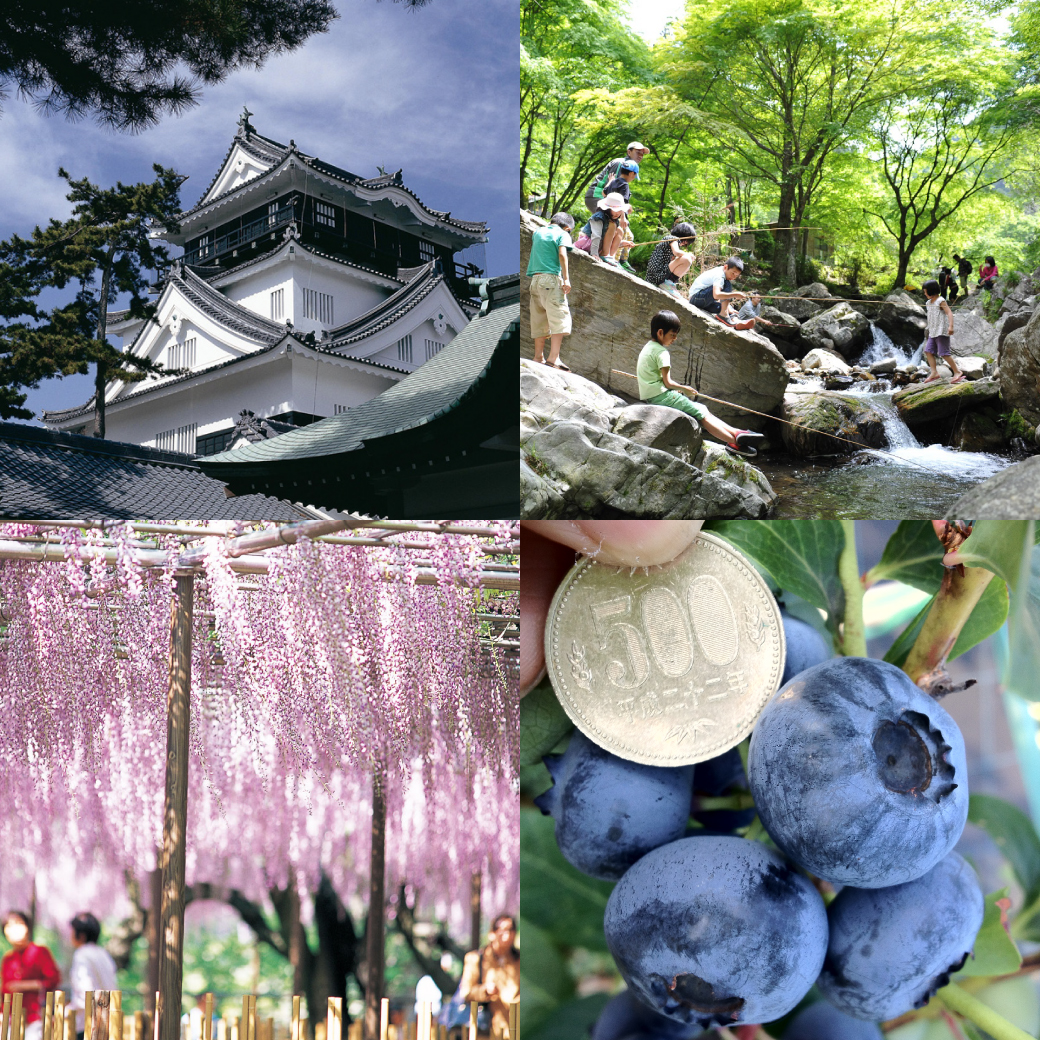 【岡崎市】アクセスランキング