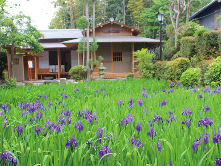 史跡八橋かきつばたまつり