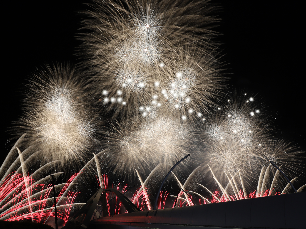 豊田おいでんまつり