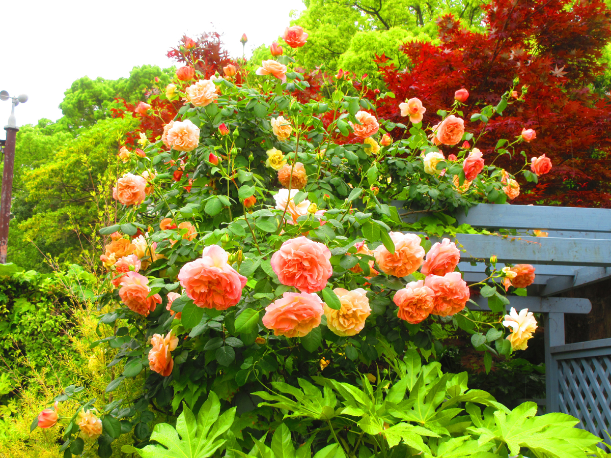 久屋大通庭園フラリエ