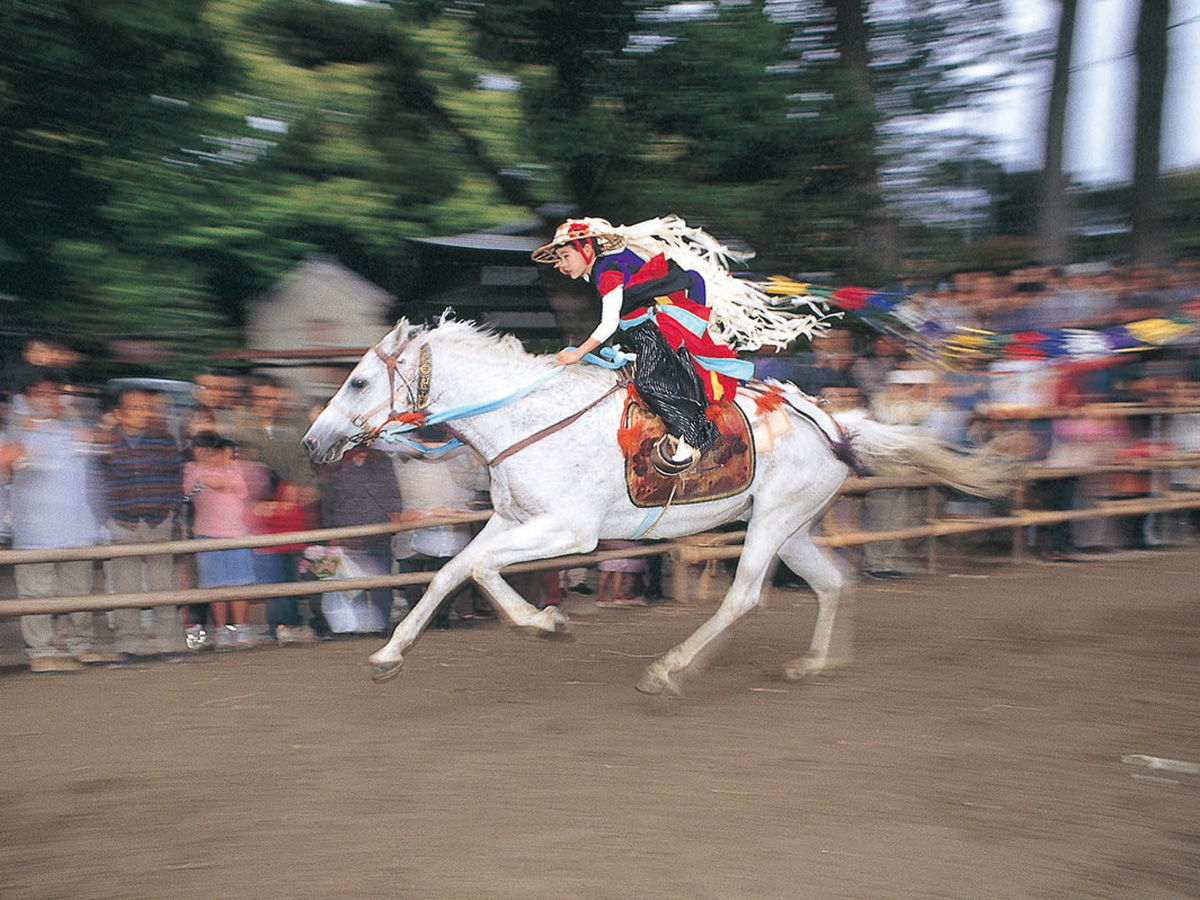 砥鹿神社例行大祭