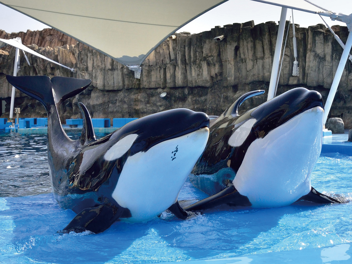 Port of Nagoya Public Aquarium