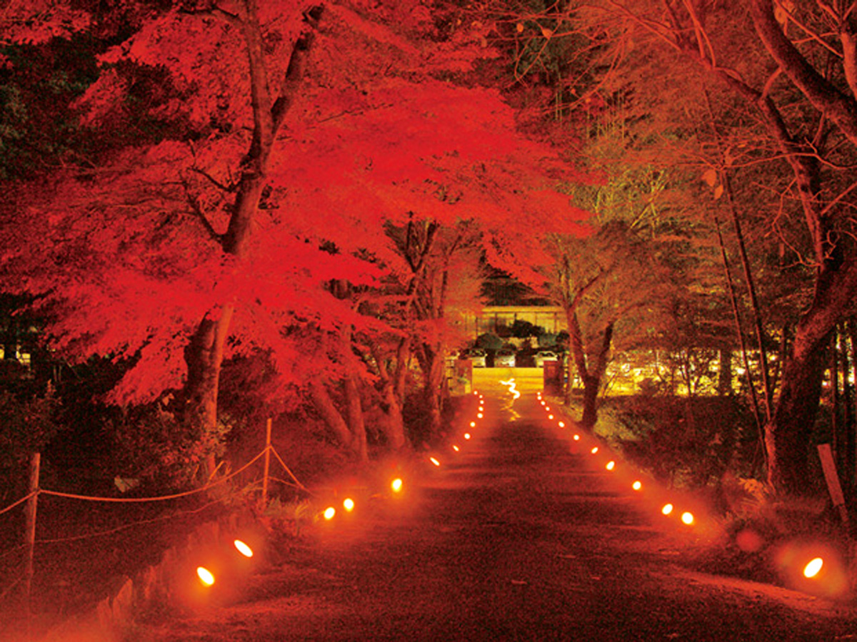 鳳來寺山紅葉節