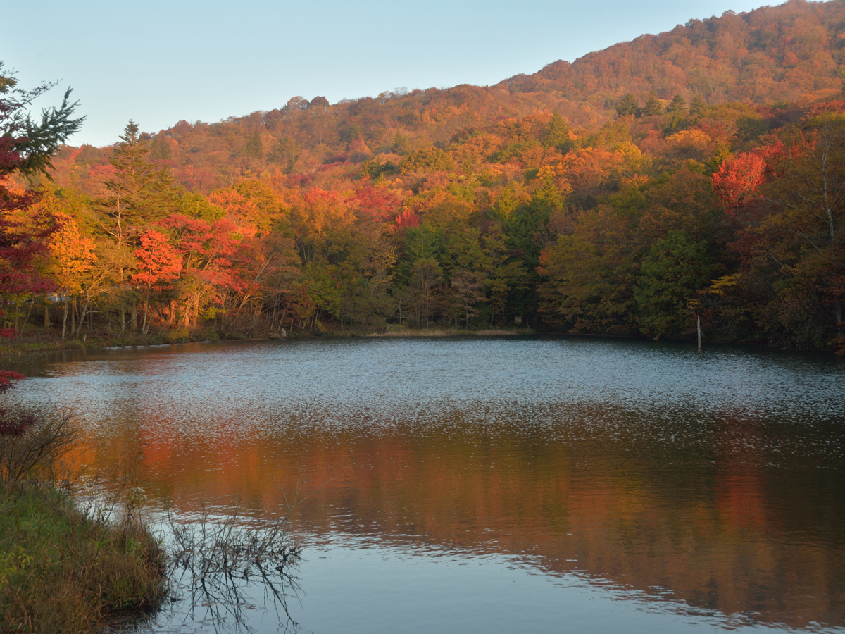 秋季茶臼山高原節