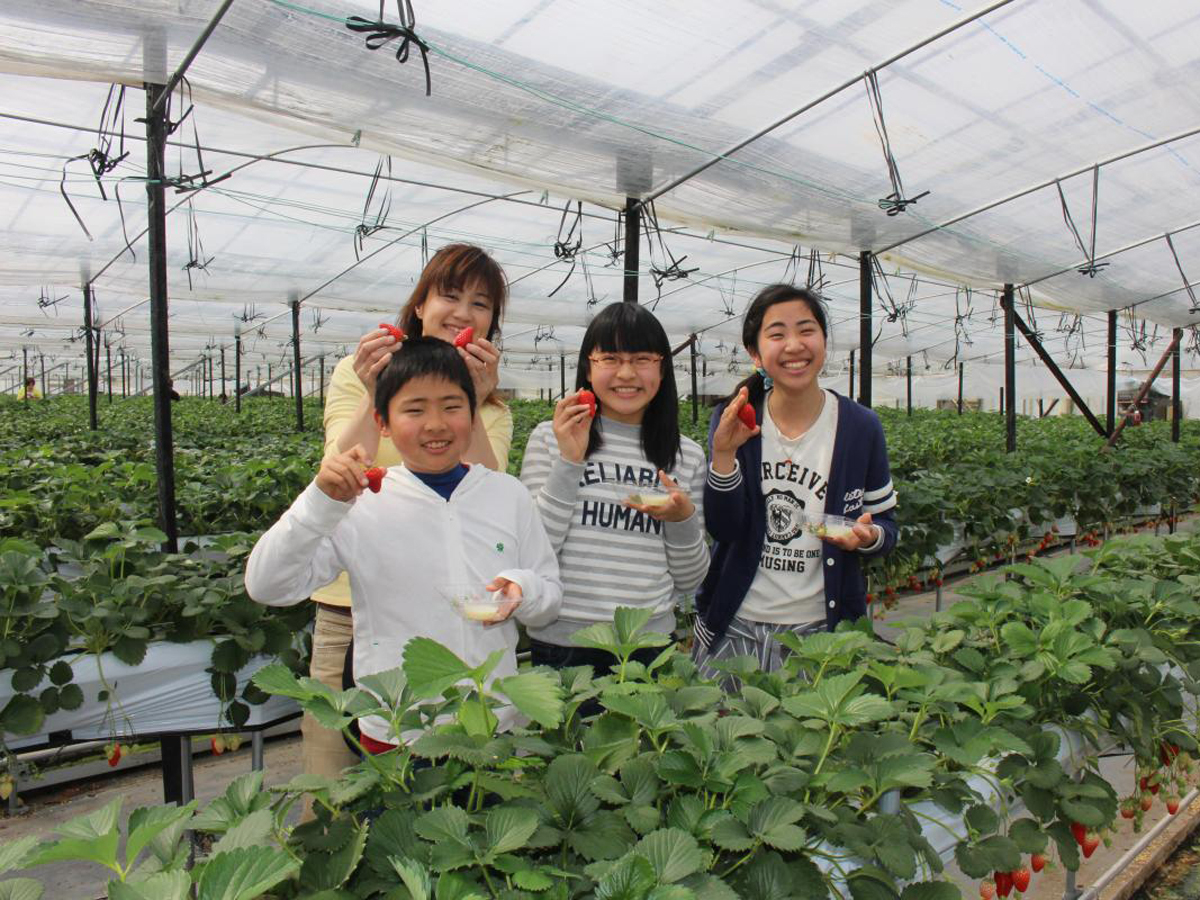 観光農園花ひろば