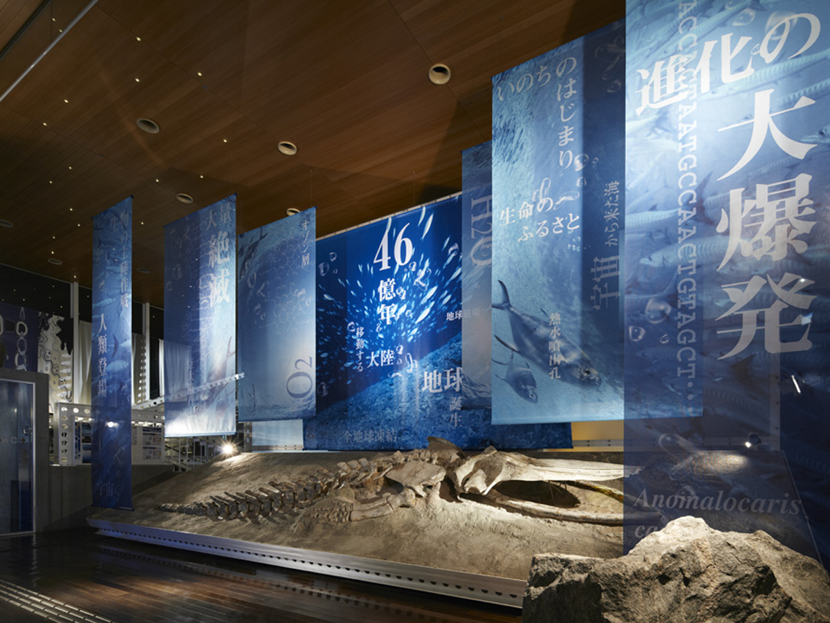 蒲郡市生命の海科学館