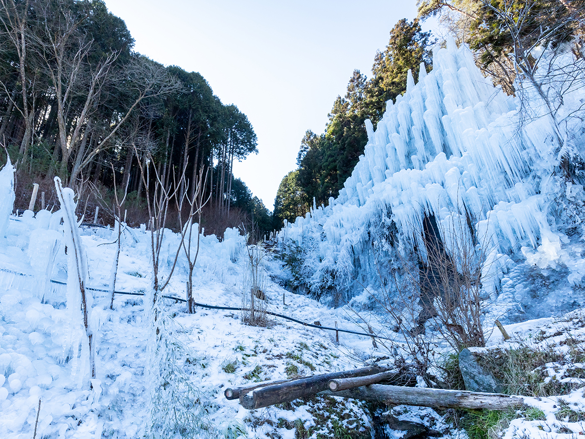 湧水広場の氷瀑