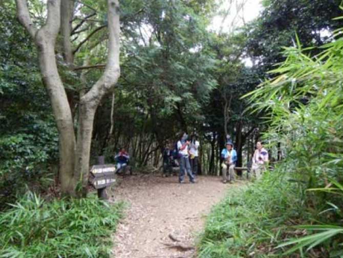 豊橋自然観察教育林コース