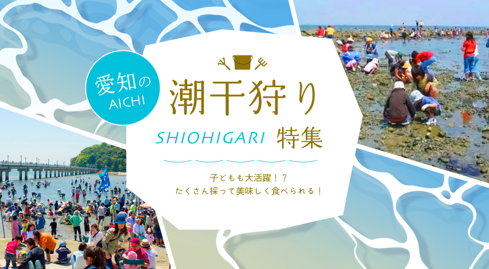 愛知の潮干狩り特集