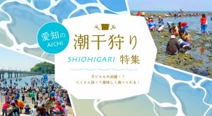 愛知の潮干狩り特集