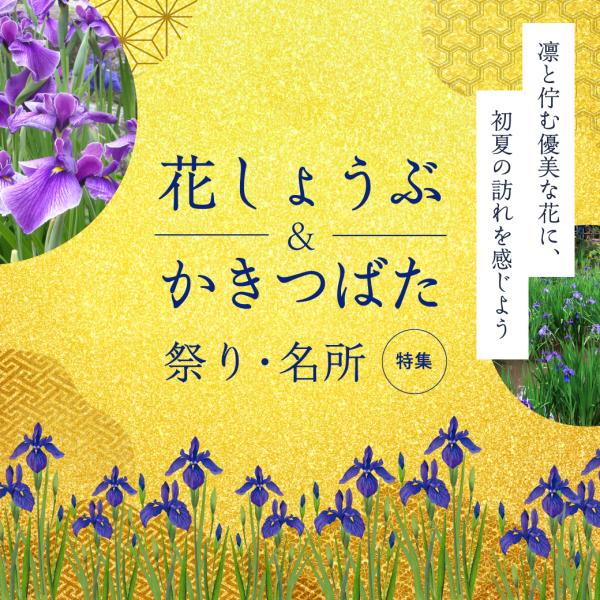 花しょうぶ祭り・名所特集