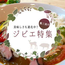 美味しさも進化中！愛知のジビエ