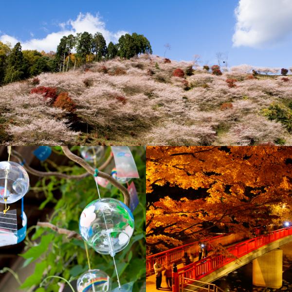 【豊田市】アクセスランキング