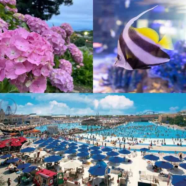 【蒲郡市】アクセスランキング