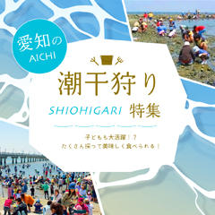 愛知の潮干狩り特集