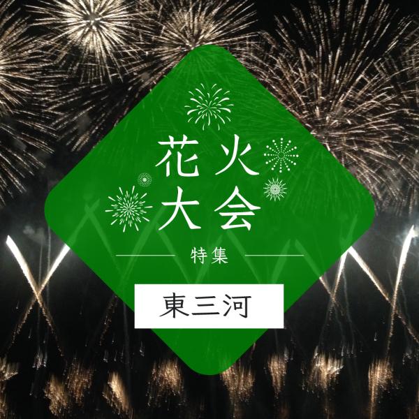 花火大会特集~東三河編～