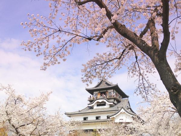 國寶犬山城和傳統的木曽川鵜飼之旅