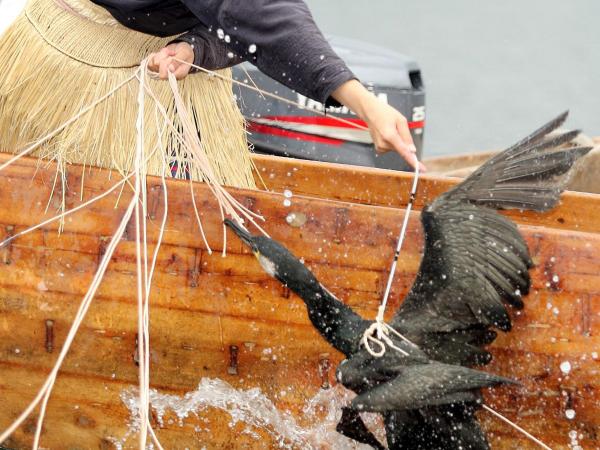 國寶犬山城和傳統的木曽川鵜飼之旅