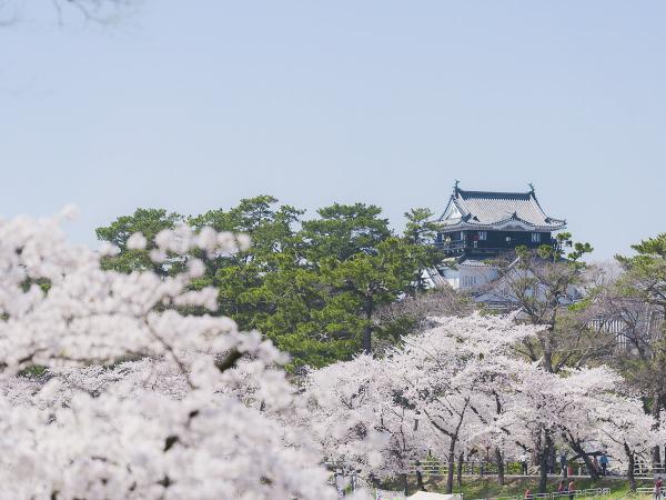 愛知釀造文化和紅葉勝地香嵐溪令人懷念的日本原始風景體驗之旅