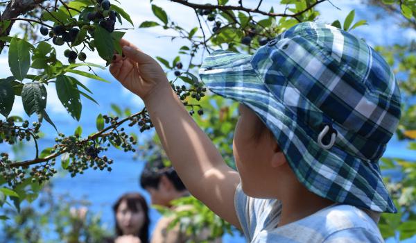 グリーンステージ花の木農園