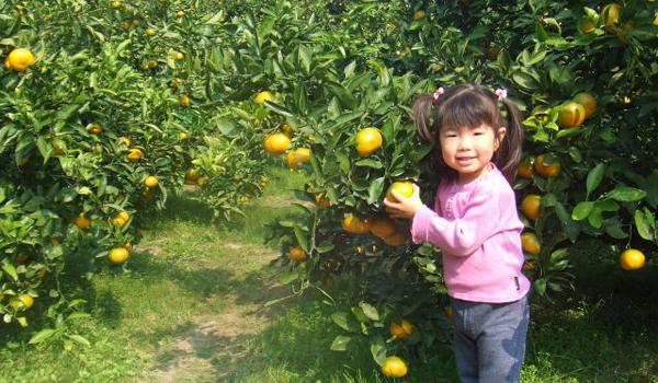 Tanaka Noen Utsumi Fruits Village