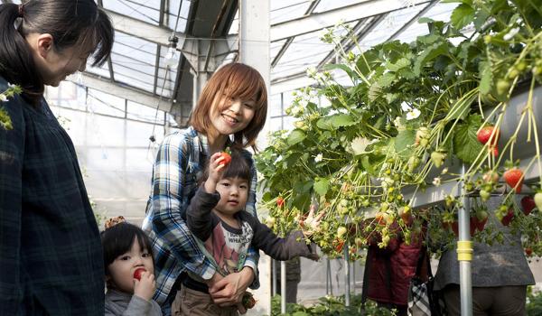 蒲郡オレンジパーク