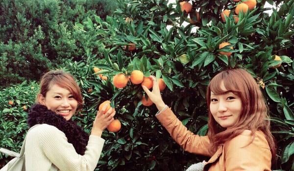 南知多グリーンバレイ